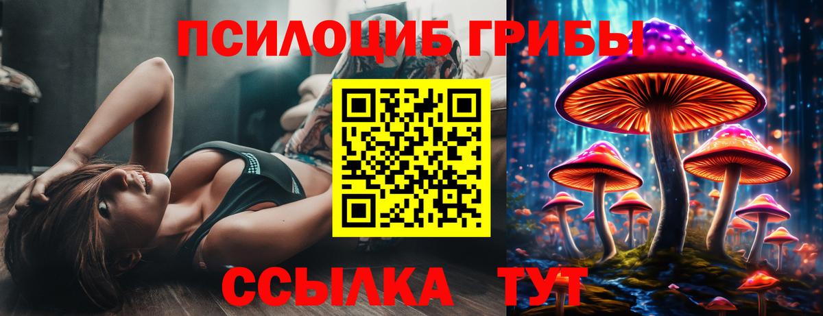 Протвино  Псилоцибиновые грибы Psilocybine cubensis  Вход с VPN 