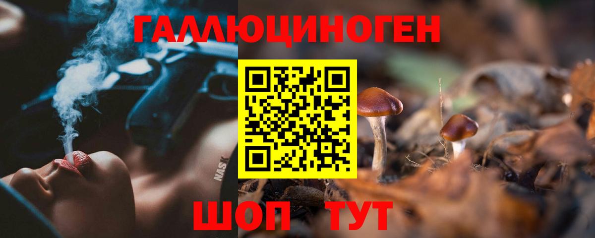 Псилоцибиновые грибы мухоморы Протвино