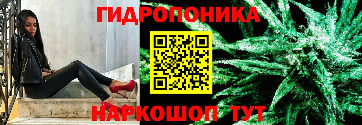 Шишки марихуана семена Протвино
